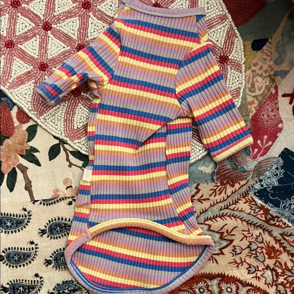 Sphynx Cat 🐈 Sweater with Heart Patch